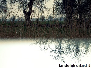 anita snik-broeken, fotografie, landelijk uitzicht